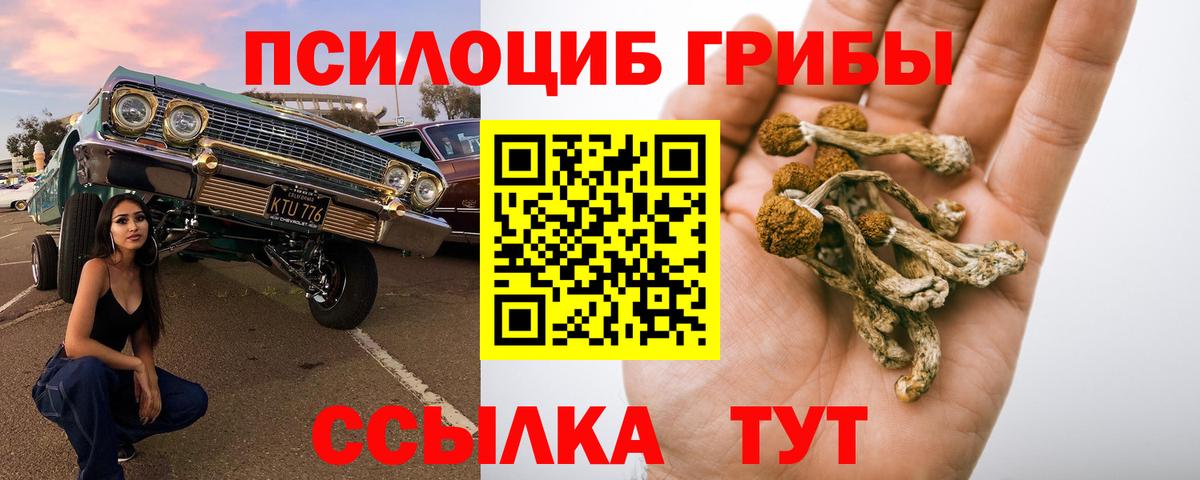 Псилоцибиновые грибы прущие грибы Лабытнанги