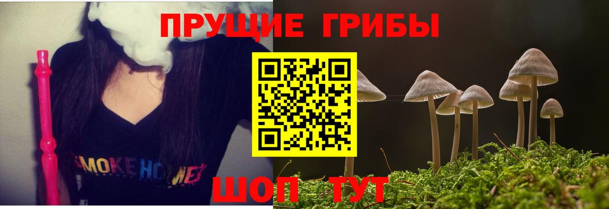 Галлюциногенные грибы GOLDEN TEACHER  Псилоцибиновые грибы MAGIC MUSHROOMS  Вход с VPN  Лабытнанги 